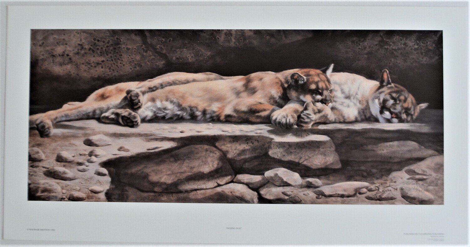 Out of Print Limited Edition , 187 /390 .Signed Maurade Baynton . 29&quot; x 15.&quot; &quot;Dozing Duo.&quot;