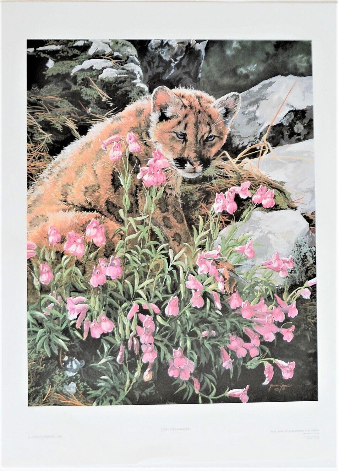 Vintage,  Limited Edition  of 350 Printed. 1992. Signed. 19&quot; x 15.&quot; Never Framed or Matted,