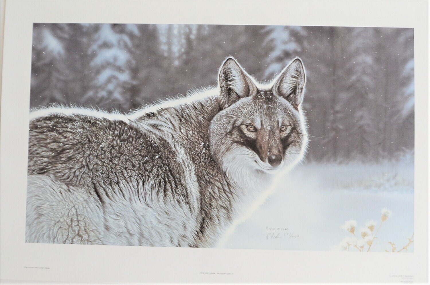 Vintage, Out of Print Limited Edition , 337 /450.  Signed. Large. 31&quot; x 20&quot; . The Newcomer