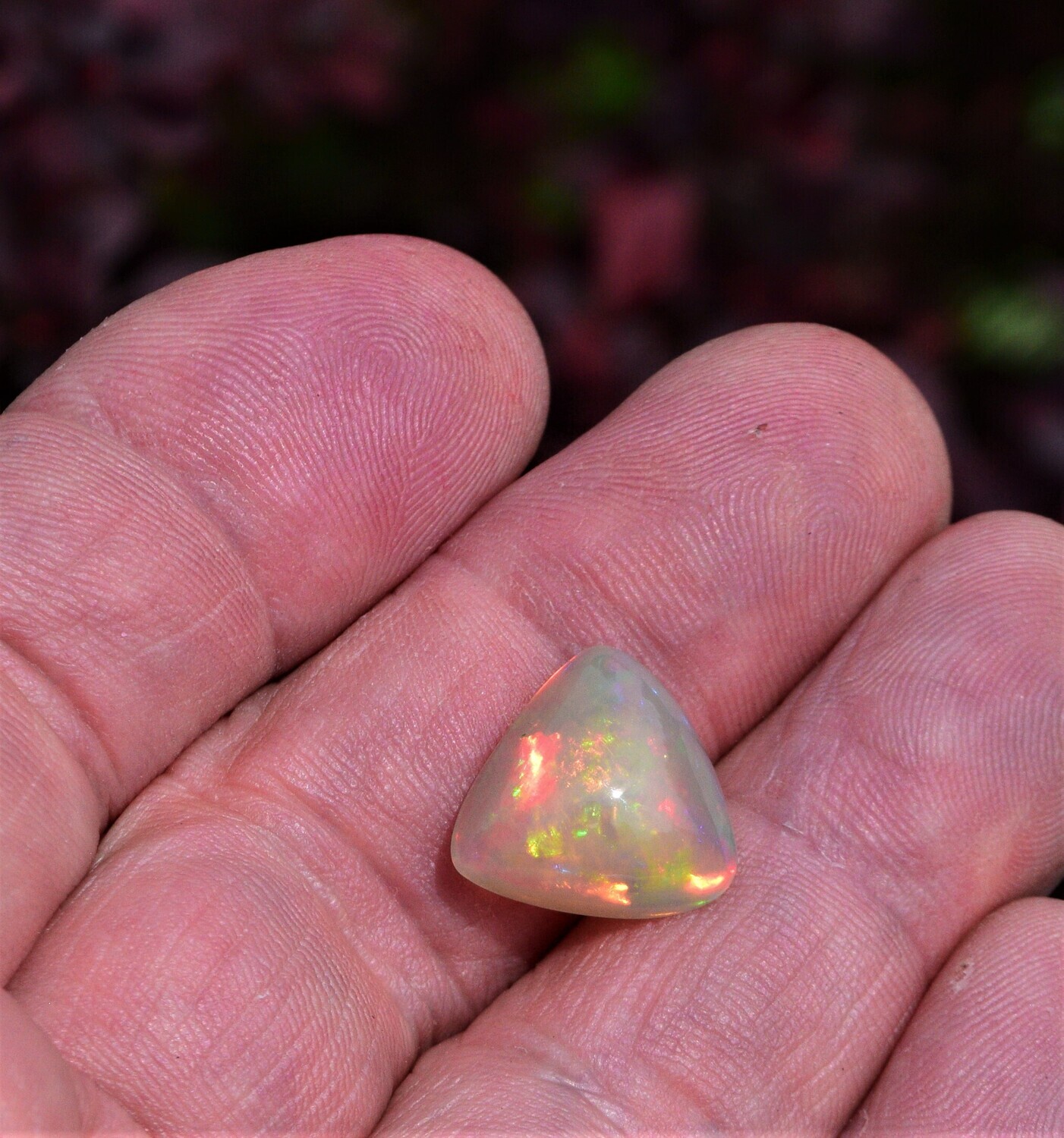 6.6cwt  Natural  Earth Mined Opal. 16.5x15.3x6.7mm. Independent Master Valuer Appraised  for 750. See Video.