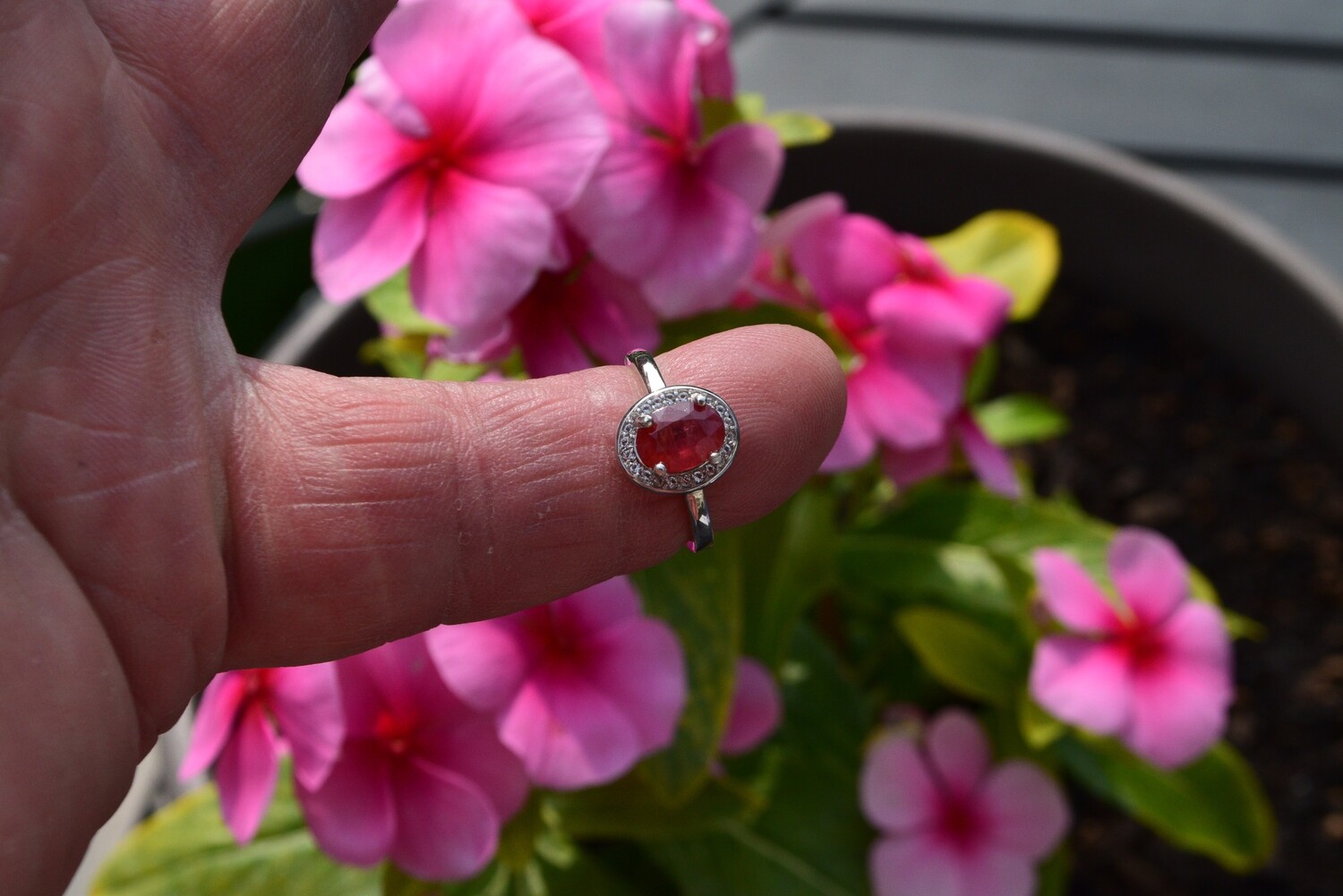 Ruby Ring Size 6. 1.45ct. Natural Earth Mined . July Birthday. 8x5.8x3.3mm Sewe Video