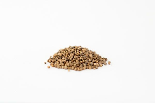 Coriander Seeds, Whole