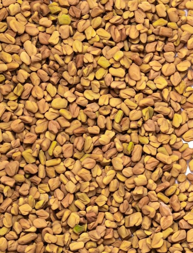 Fenugreek Seeds