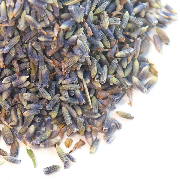 Culinary lavender