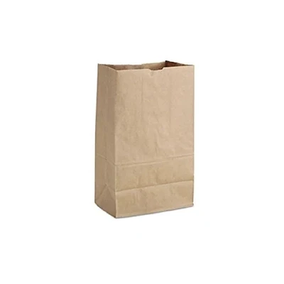 Bolsas De Papel 1/6 #52 12x7x17