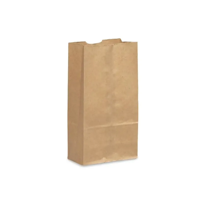 Paper Bags #1 3.5x2.5x6.0 Paper Bags #1 3.5x2.5x6.0