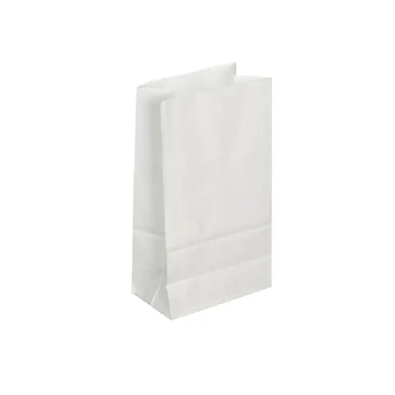 Paper Bags #12 8.25x5.38x18 Paper Bags #12 8.25x5.38x18