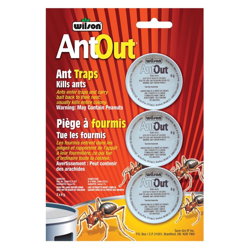 WILSON Antout Ant Trap 3pk