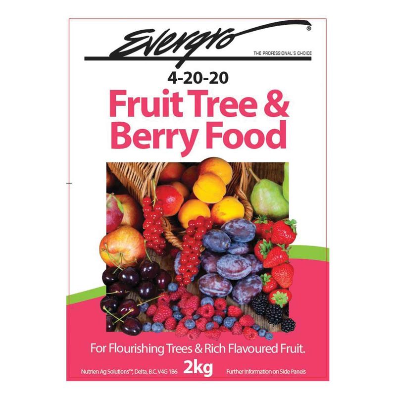 EVERGRO Fruit Tree and Berry Food 4-20-20 2kg