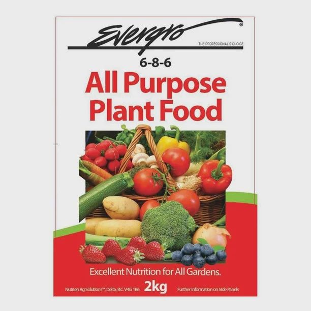 EVERGRO All Purpose Food 6-8-6 2kg