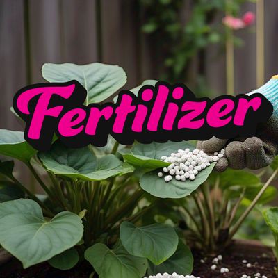 Fertilizer