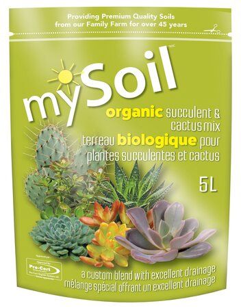 MYSOIL Cactus &amp; Succulent Mix 5L