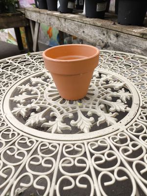 TERRA COTTA 11cm pot
