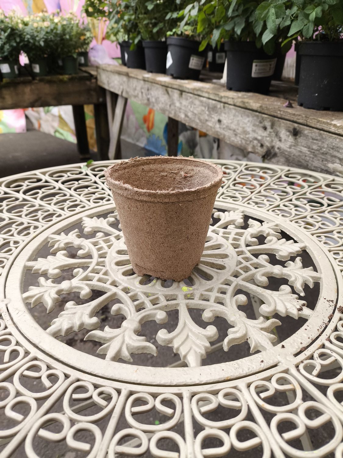 Peat Pots Large