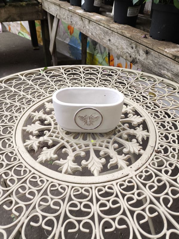 Queen Bee Trough Planter