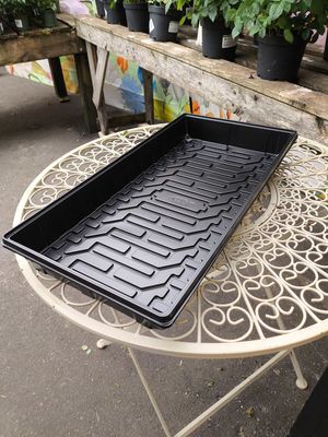 Seed Tray
