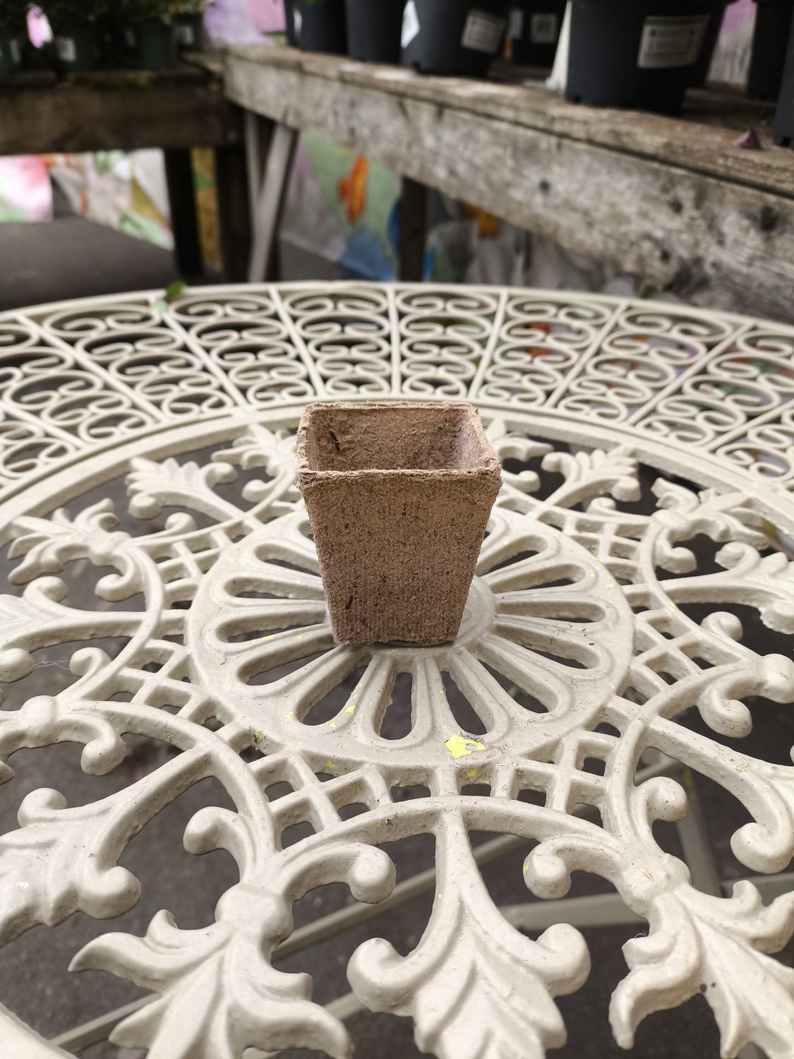 Peat Pots Small