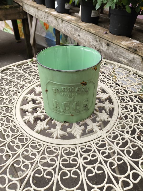 EGG PLANTER Small