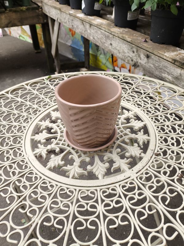 Chevron 12.5cm Bold Pot w/ attached saucer