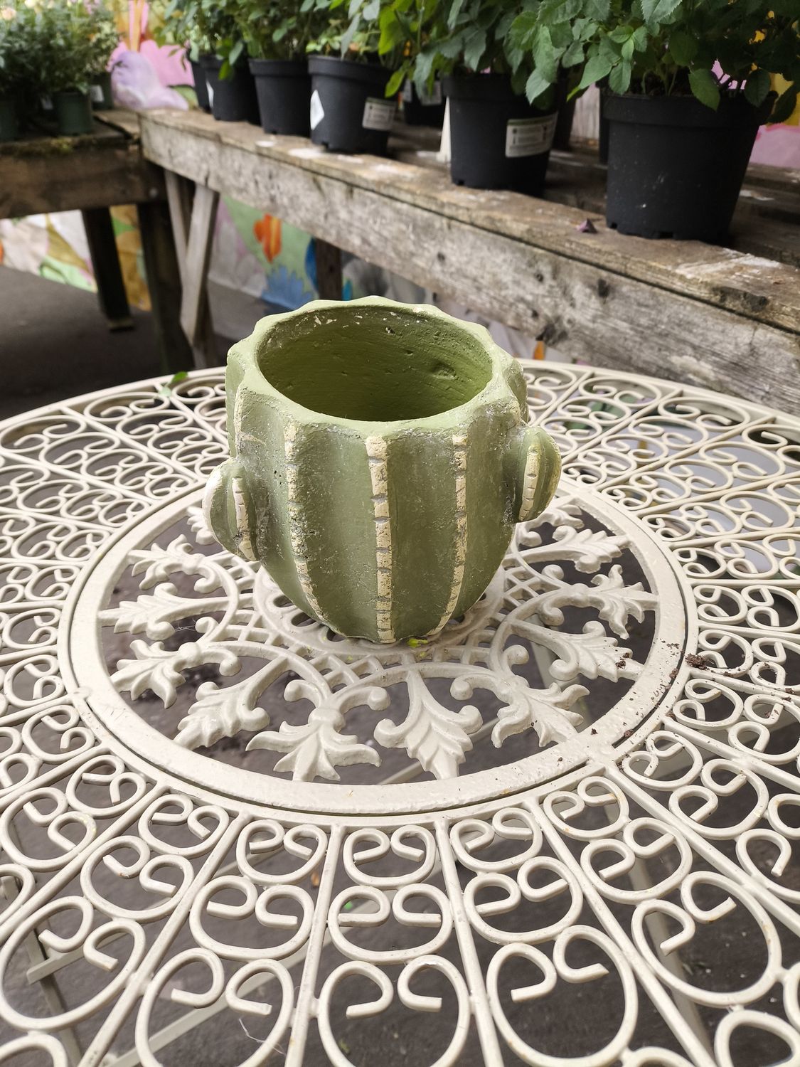 Cactus Clay Pot