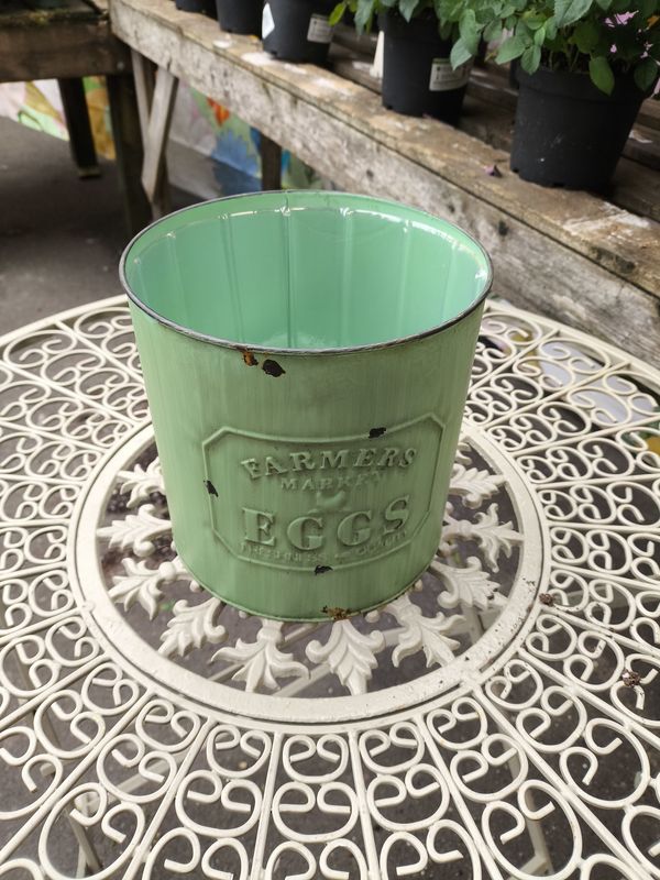 EGG PLANTER Medium