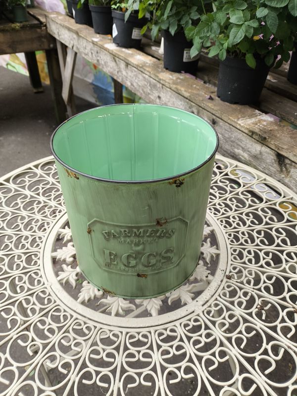 EGG PLANTER Large
