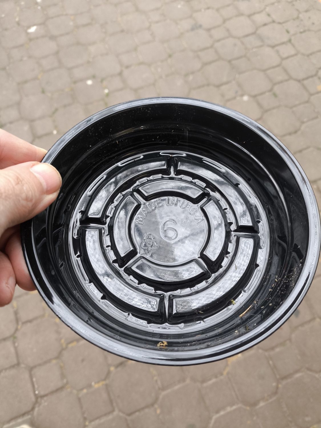 CURTIS WAGNER Black Saucer 6&quot;