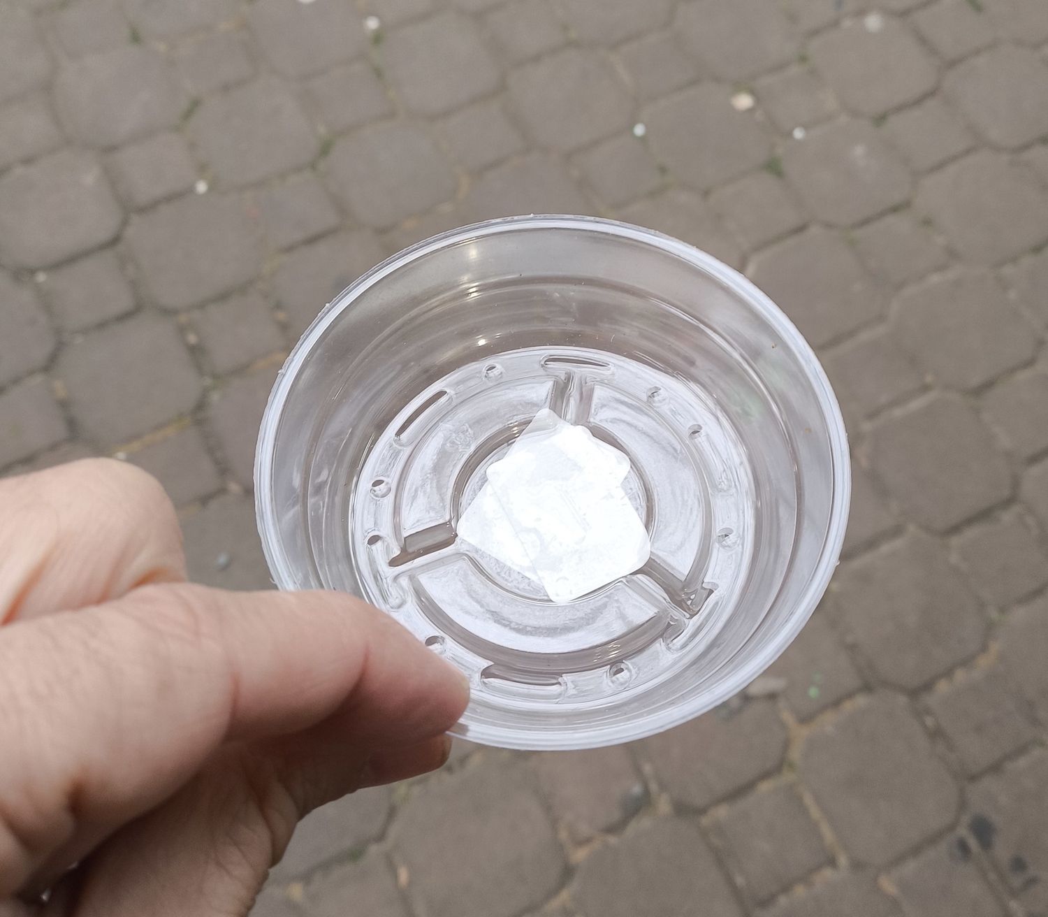 CURTIS WAGNER Clear Saucer 4&quot;