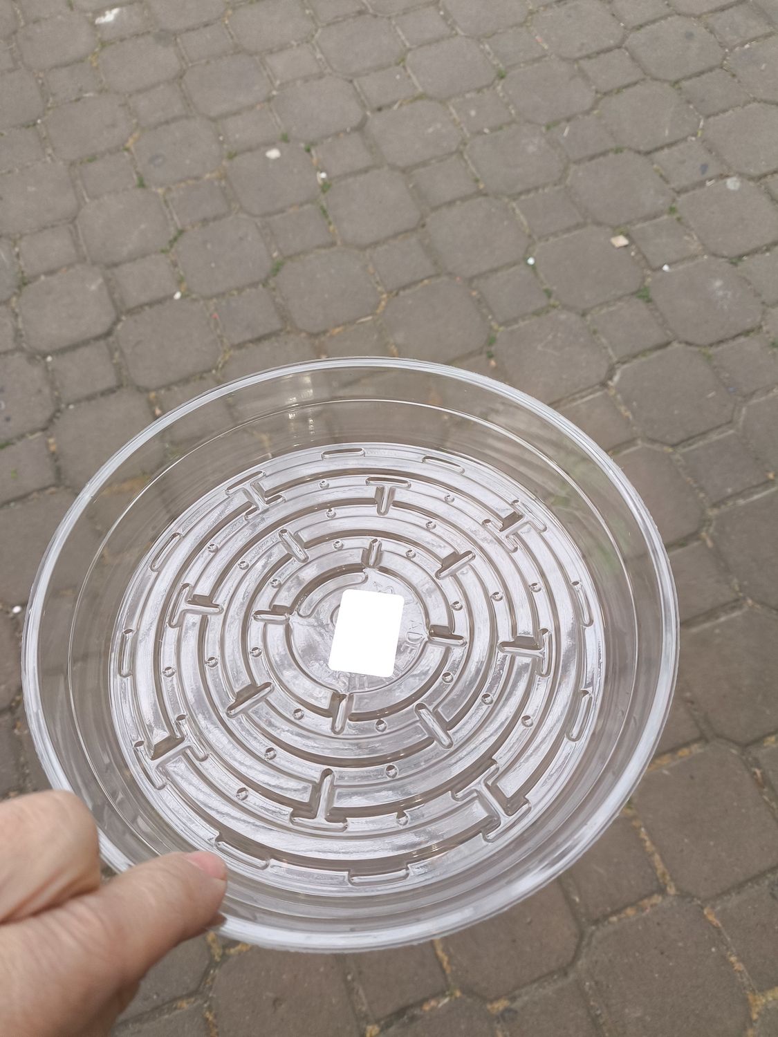 CURTIS WAGNER Clear Saucer 8&quot;