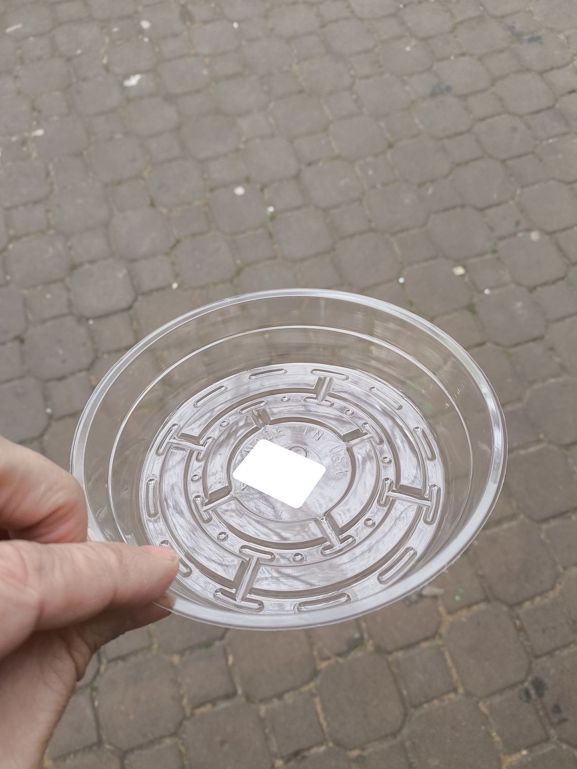 CURTIS WAGNER Clear Saucer 6&quot;