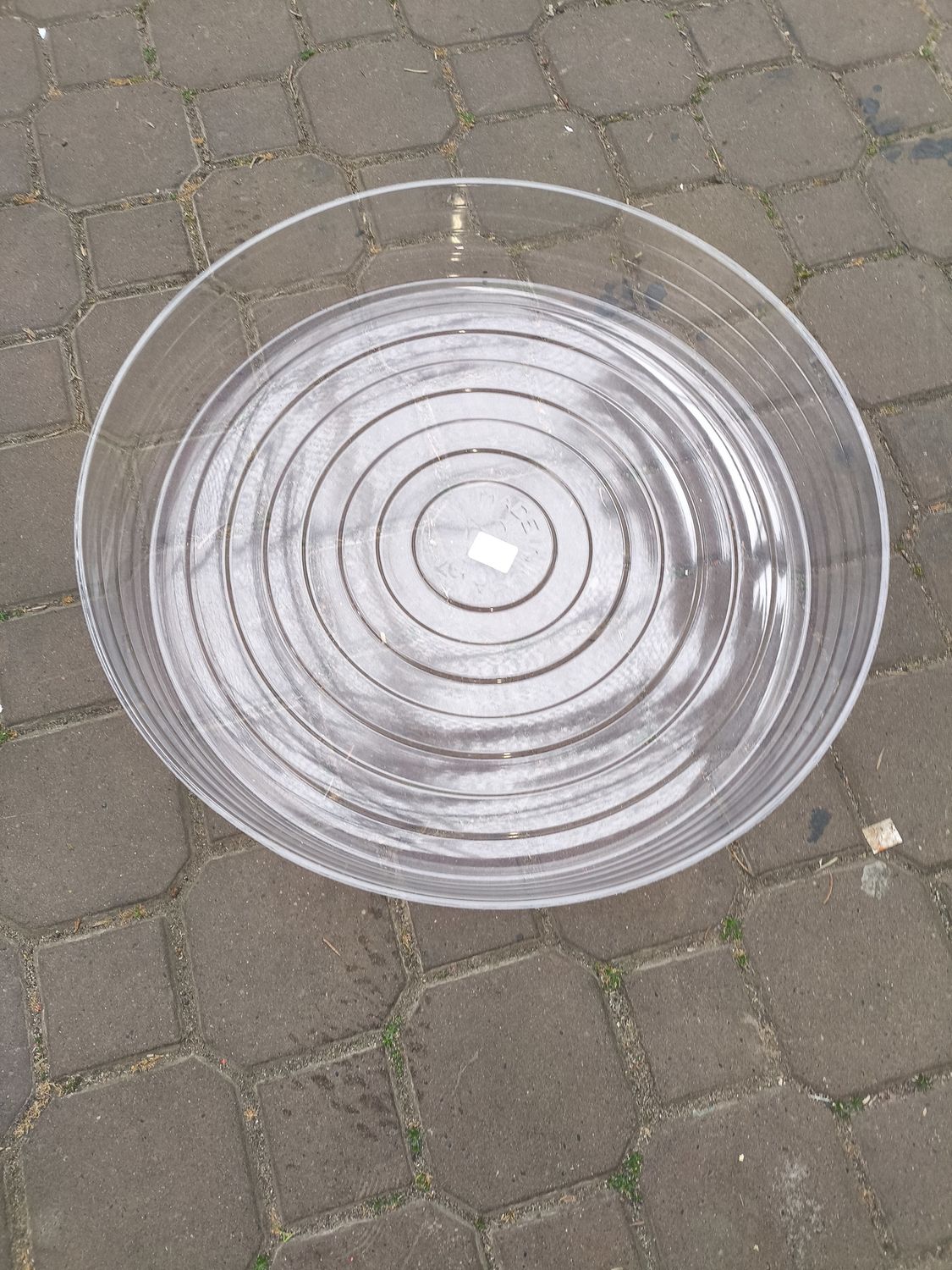 CURTIS WAGNER Clear Saucer 21&quot;