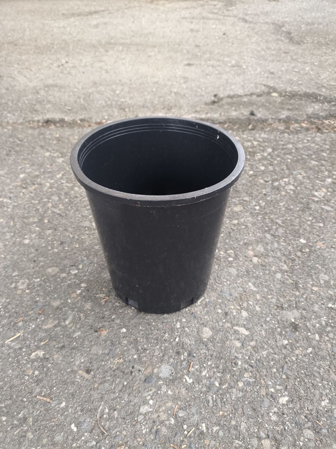 NURSERY POT #1