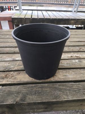 NURSERY POT #3