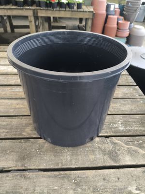 NURSERY POT #5