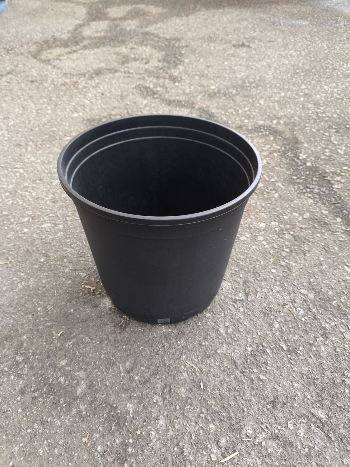 NURSERY POT #2