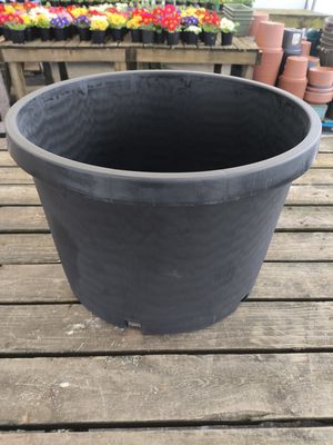 NURSERY POT #10