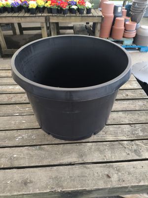 NURSERY POT #15