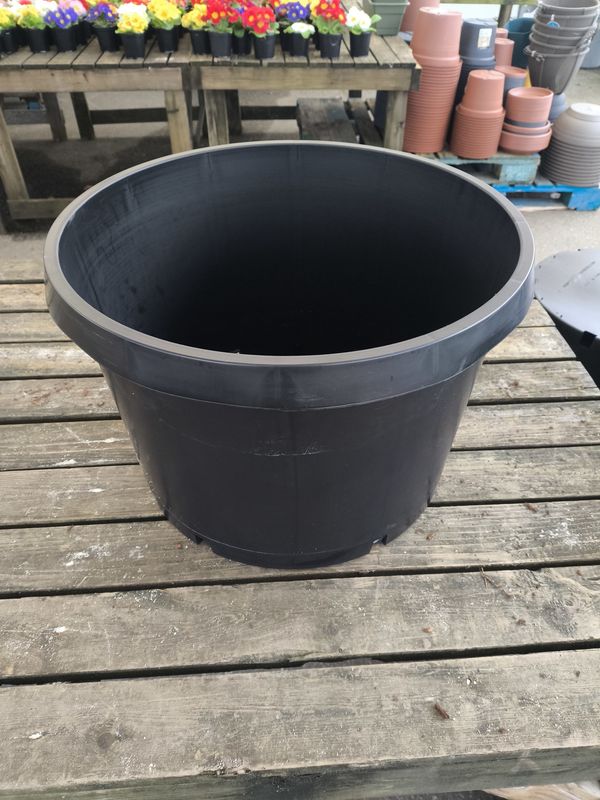 NURSERY POT #15