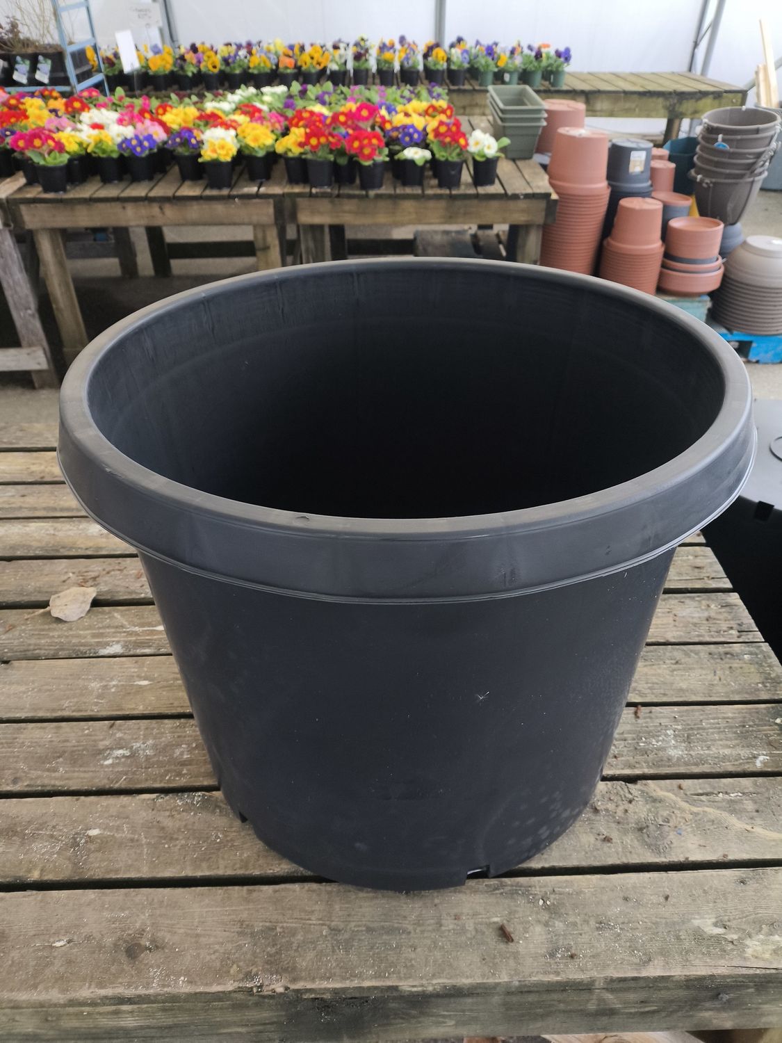 NURSERY POT #20