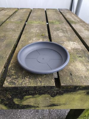 DEROMA 7.1" Charcoal Saucer