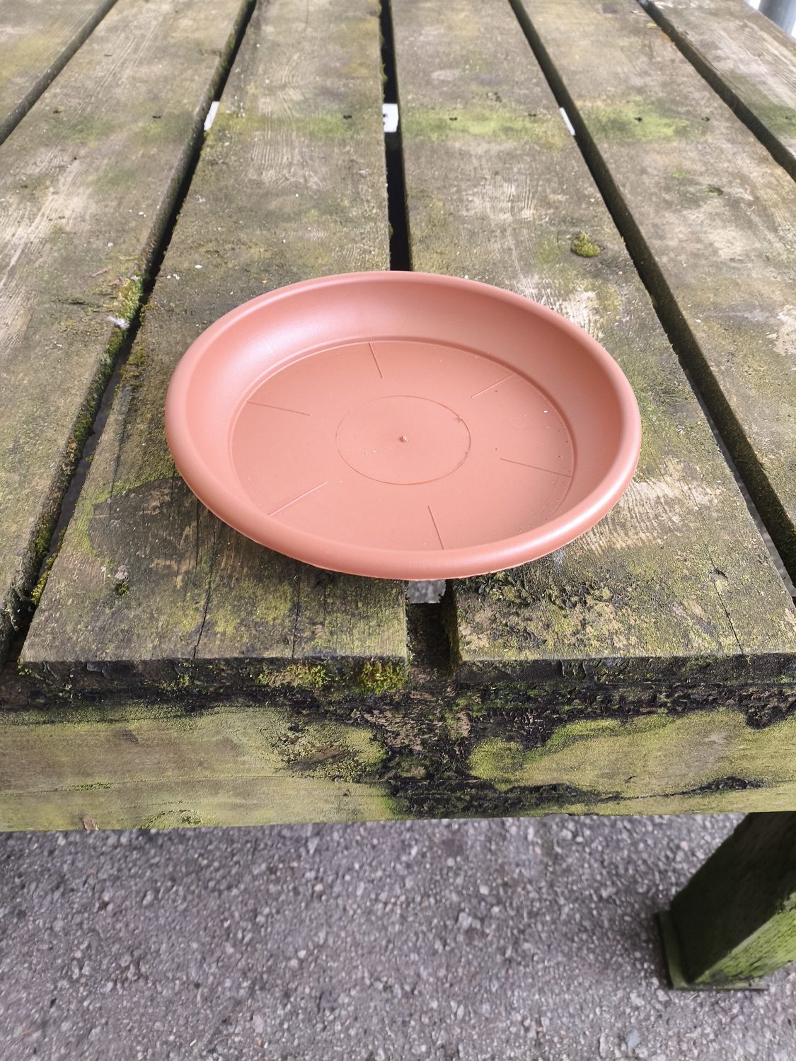 DEROMA 8.7&quot; Terra Cotta Saucer