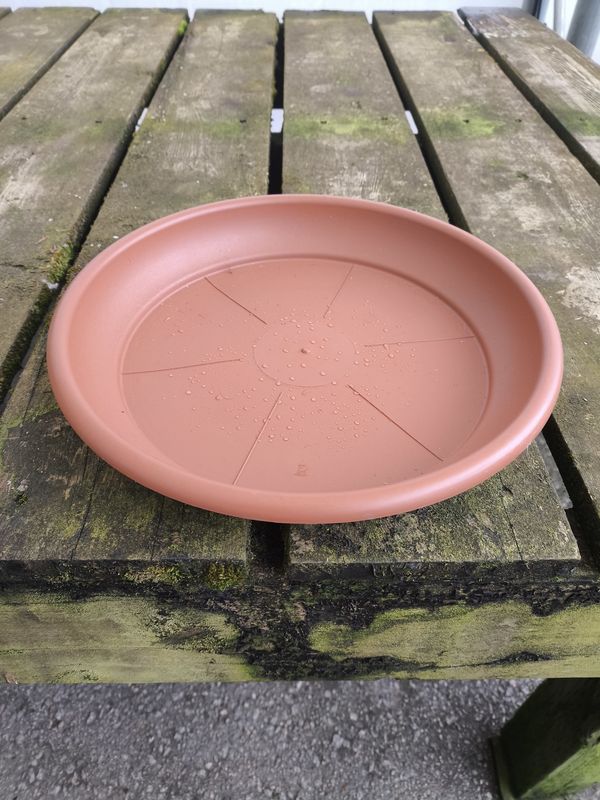 DEROMA 11.8&quot; Terra Cotta Saucer