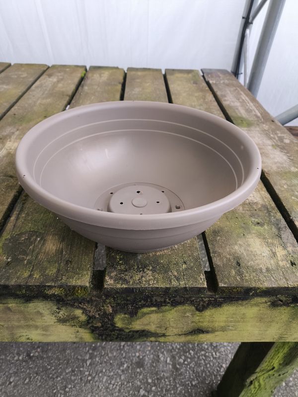 Emma 14&quot; Bowl HB
