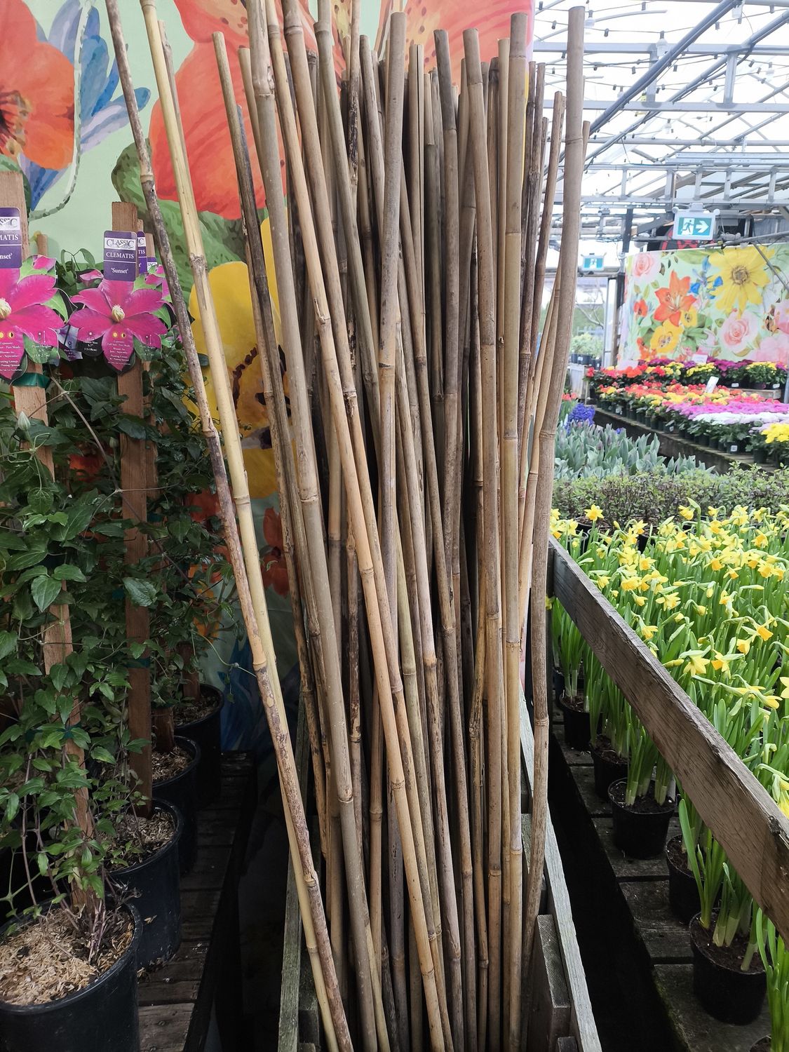 6&#39; Bamboo Stake