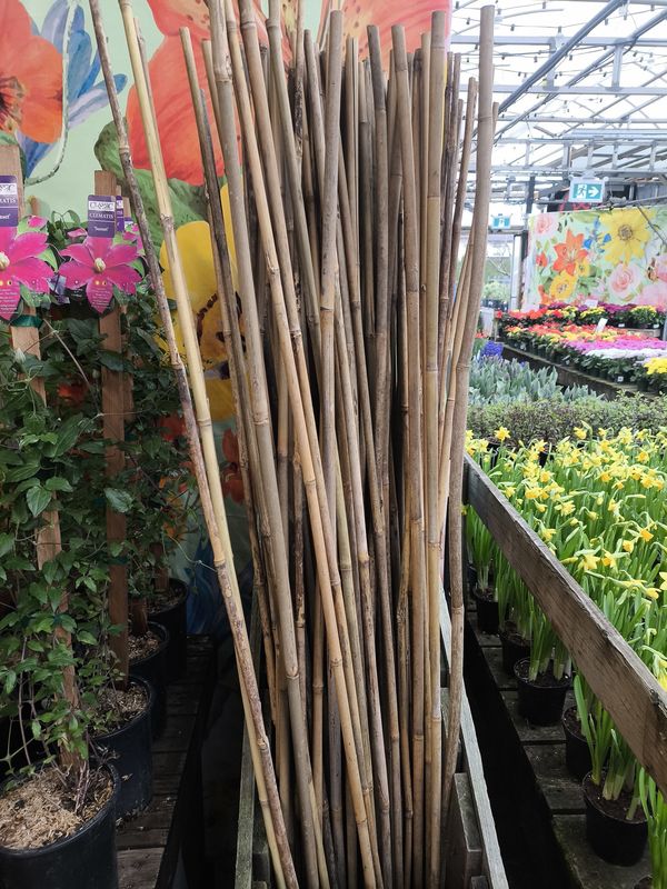 6&#39; Bamboo Stake