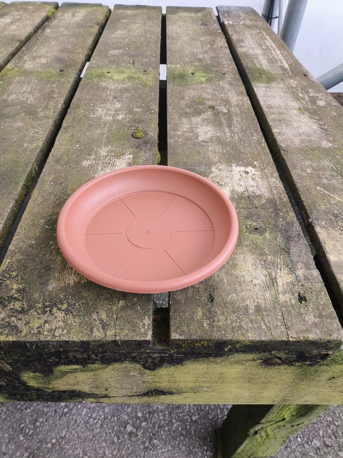 DEROMA 7.1&quot; Terra Cotta Saucer