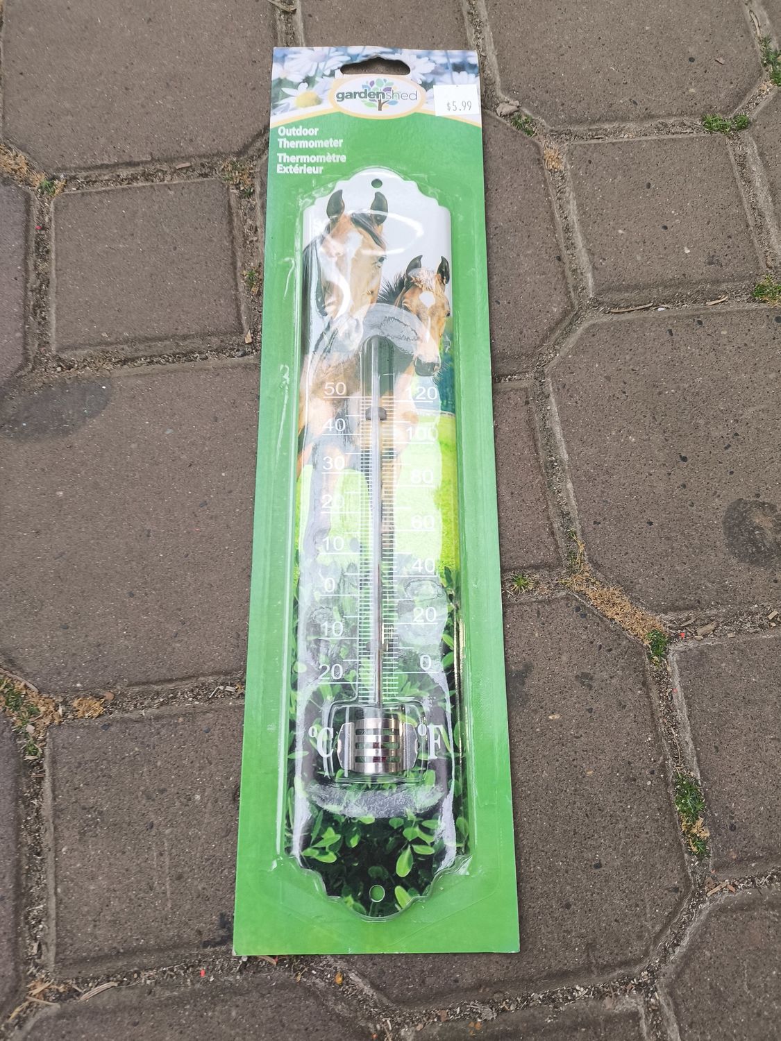 Animal Thermometer