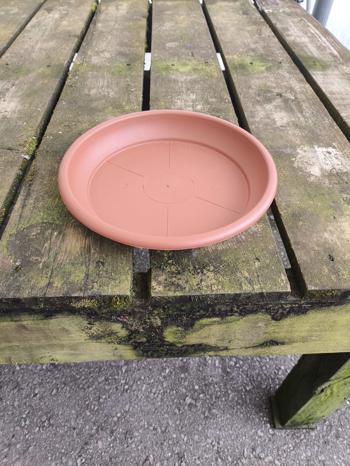 DEROMA 10.2&quot; Terra Cotta Saucer