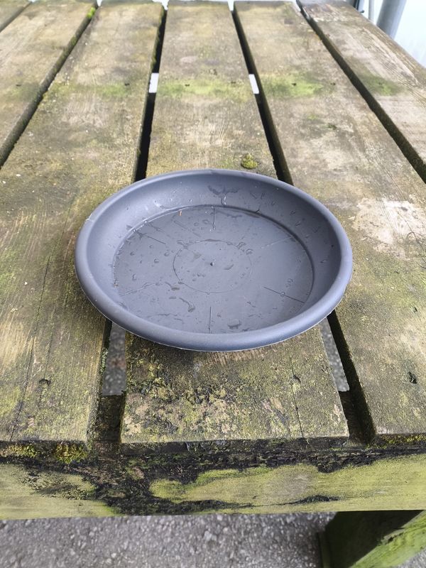 DEROMA 8.7&quot; Charcoal Saucer