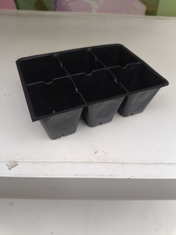 6 Pk.  Seed Tray Insert